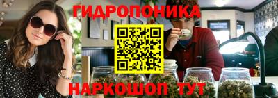 молекула духа Лесосибирск