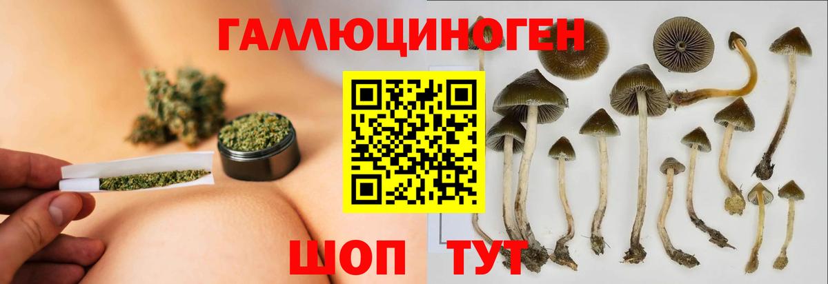 Галлюциногенные грибы Magic Shrooms Узловая