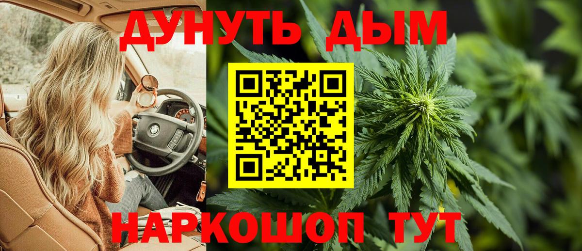 Канабис MAZAR Узловая